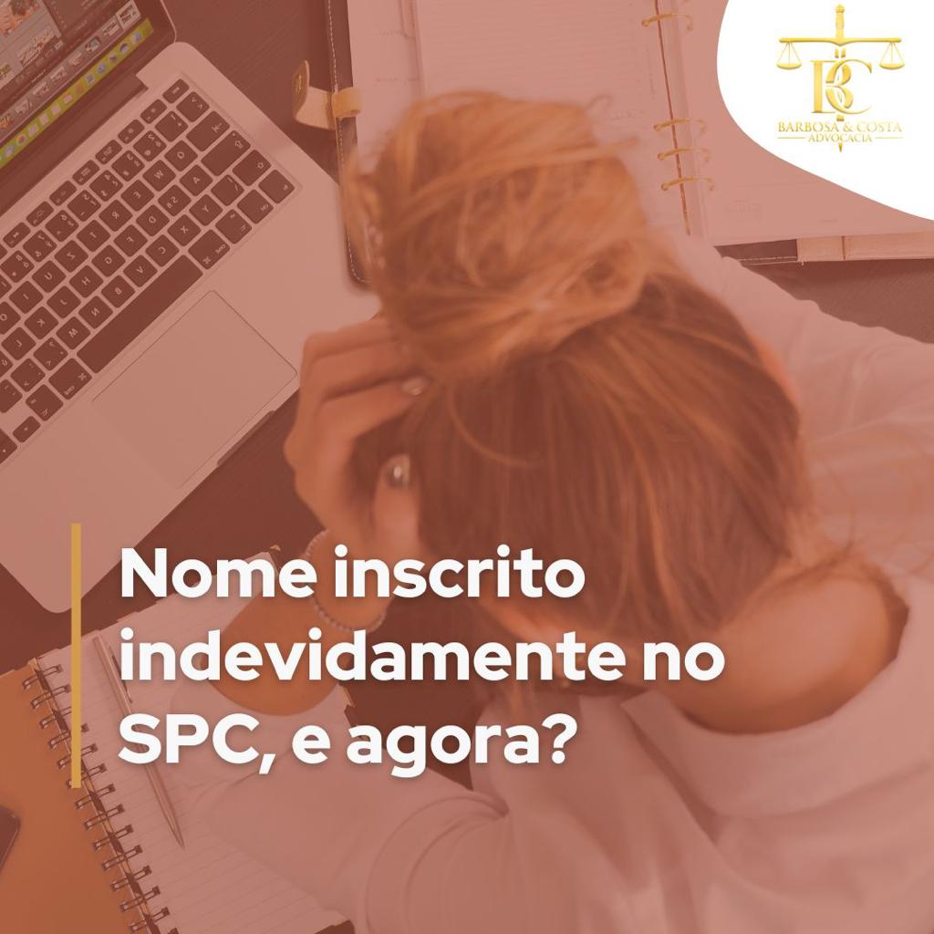 Temas do mundo jurídico. Direito Civil – Fraudes contra o consumidor.